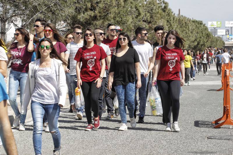 Multitudinaria fiesta de primavera en la UA