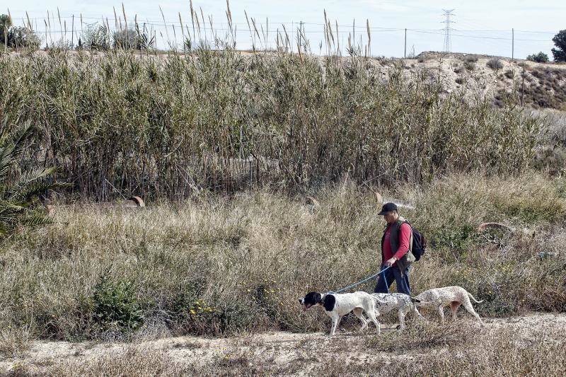 Buscan a dos jóvenes con síndrome de Asperger en Alicante