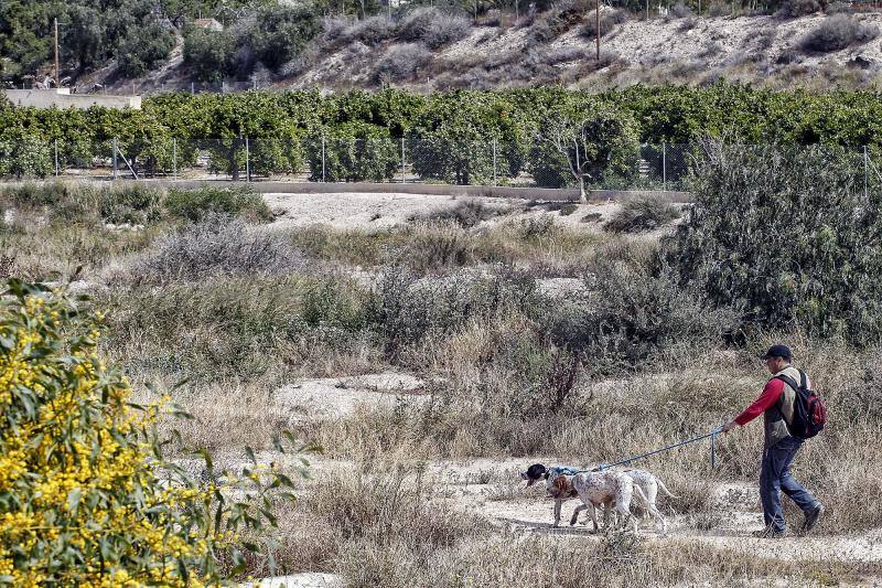 Buscan a dos jóvenes con síndrome de Asperger en Alicante