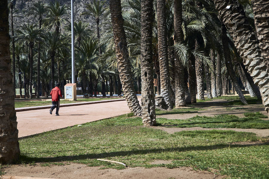 Mejora en las instalaciones del Palmeral en Orihuela