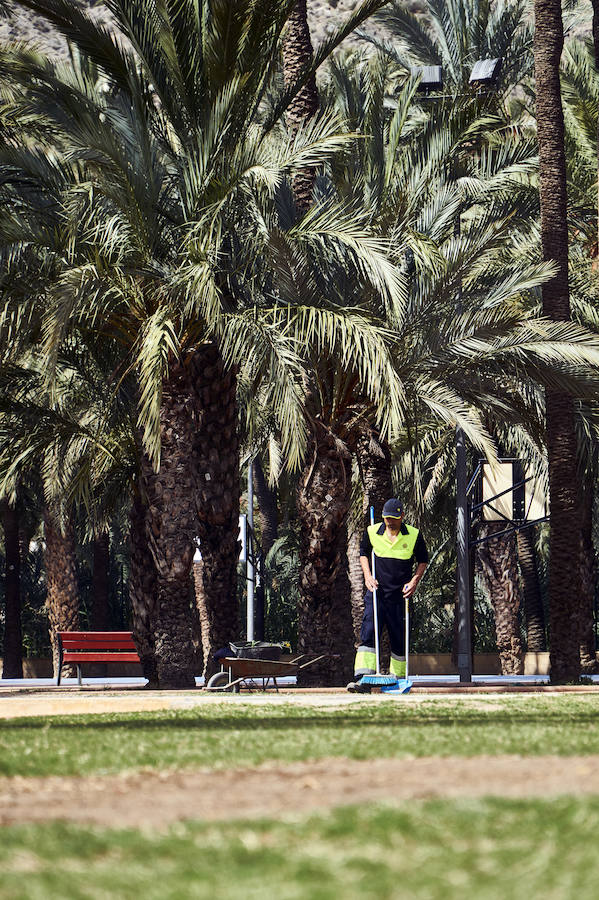 Mejora en las instalaciones del Palmeral en Orihuela