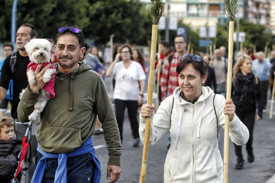 Miles de romeros participan en la Peregrina (I)