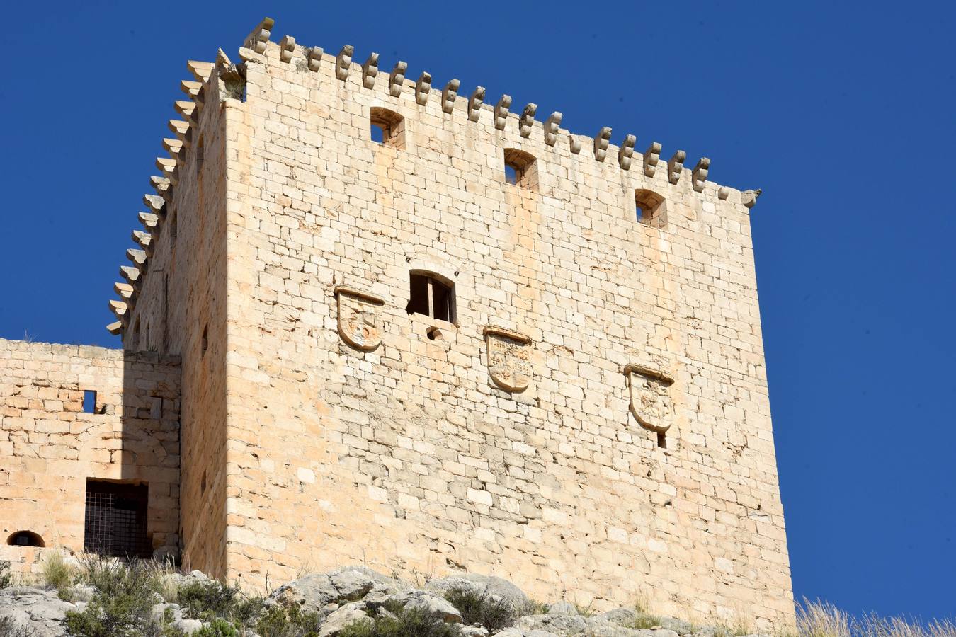 Cientos de personas abrazan el Castillo de Mula