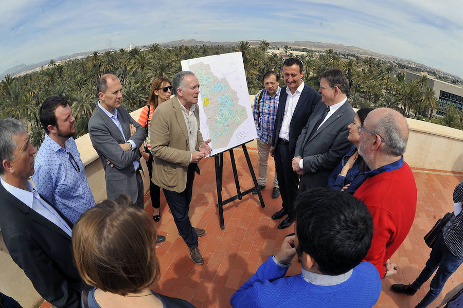 El Consell visita Elche