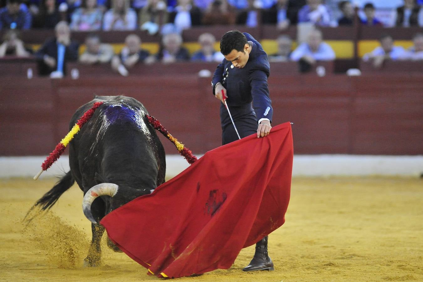 Festival de orejas y rabos contra el cáncer en Murcia