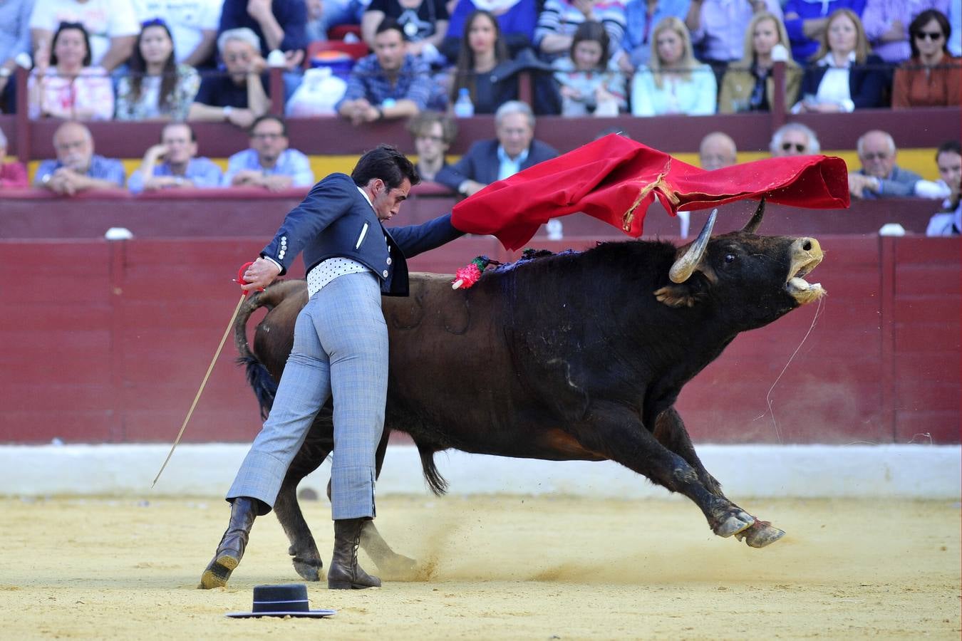 Festival de orejas y rabos contra el cáncer en Murcia