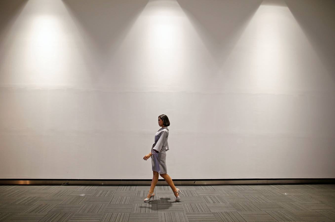 Buscando a Miss Tiffany