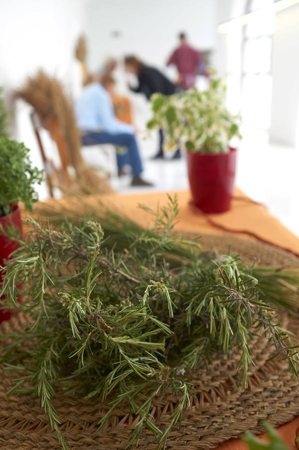 El poder de las plantas