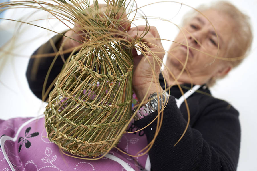 El poder de las plantas