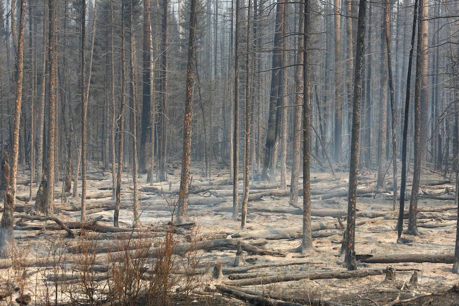 El infierno de Fort McMurray