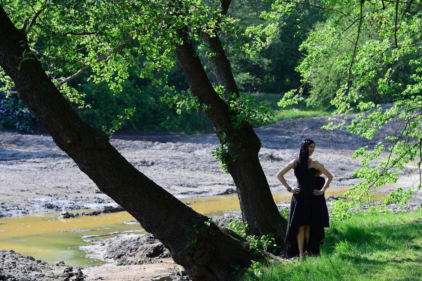 Un picnic terrorífico