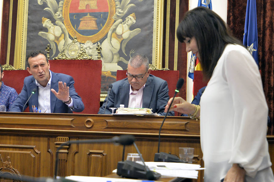 Pleno en el Ayuntamiento de Elche