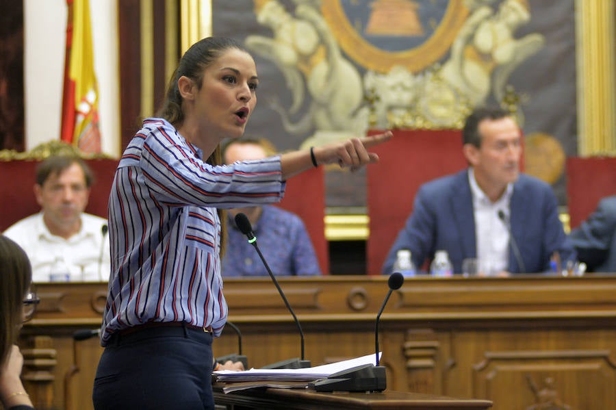 Pleno en el Ayuntamiento de Elche