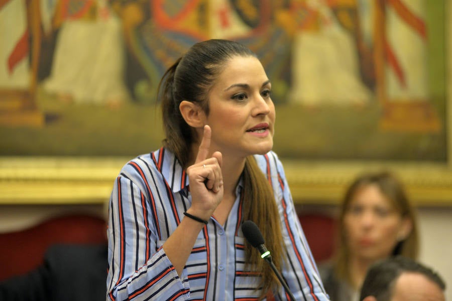 Pleno en el Ayuntamiento de Elche