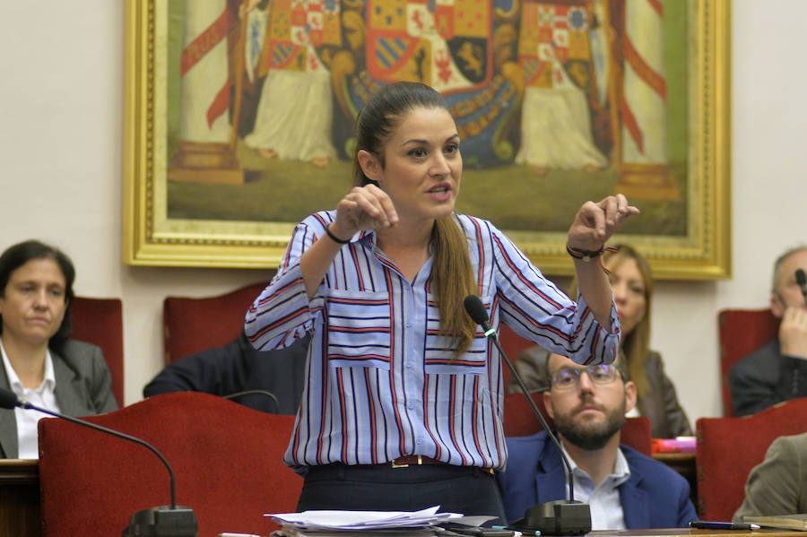 Pleno en el Ayuntamiento de Elche