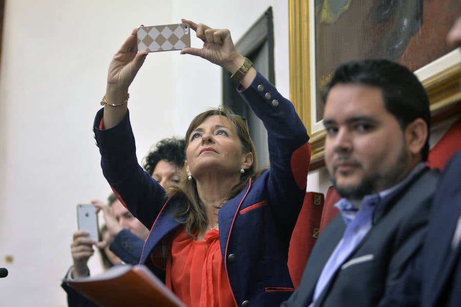 Pleno en el Ayuntamiento de Elche