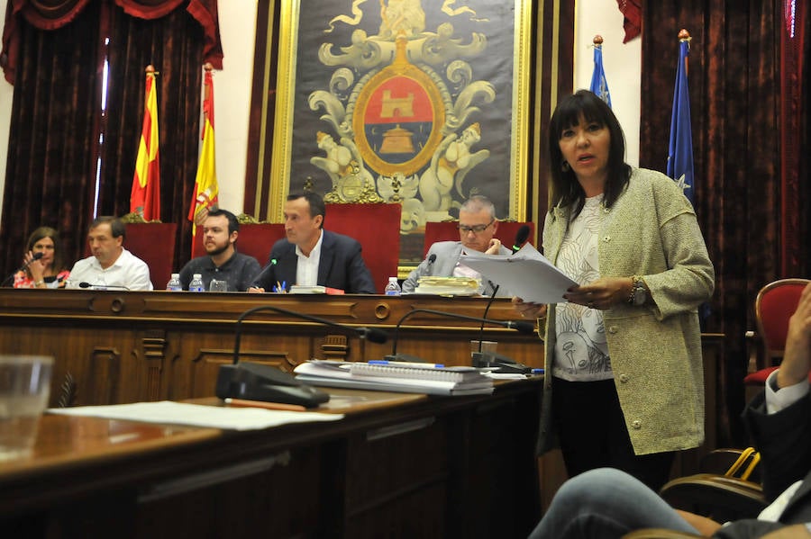 Pleno en el Ayuntamiento de Elche