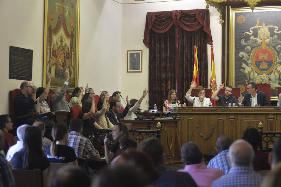 Pleno en el Ayuntamiento de Elche