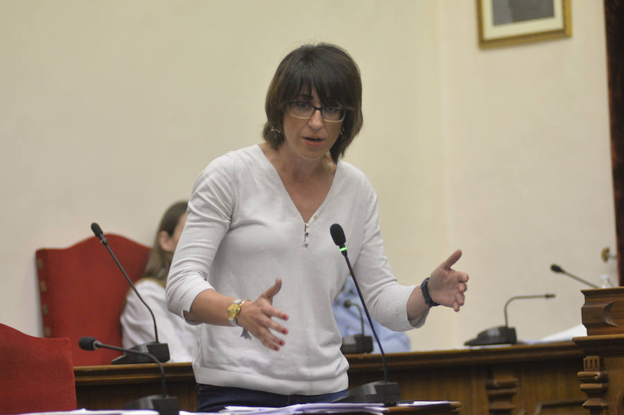 Pleno en el Ayuntamiento de Elche