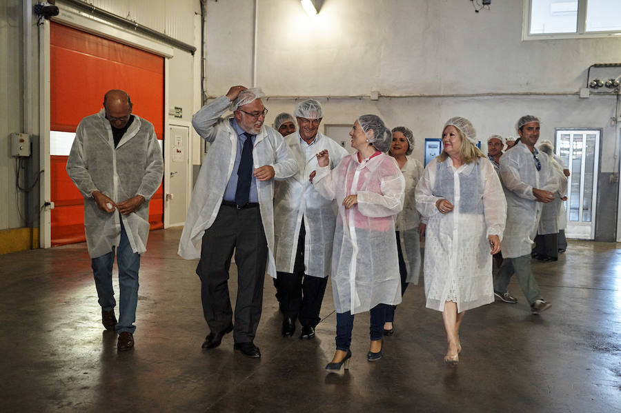 Primer corte de brevas en Alicante