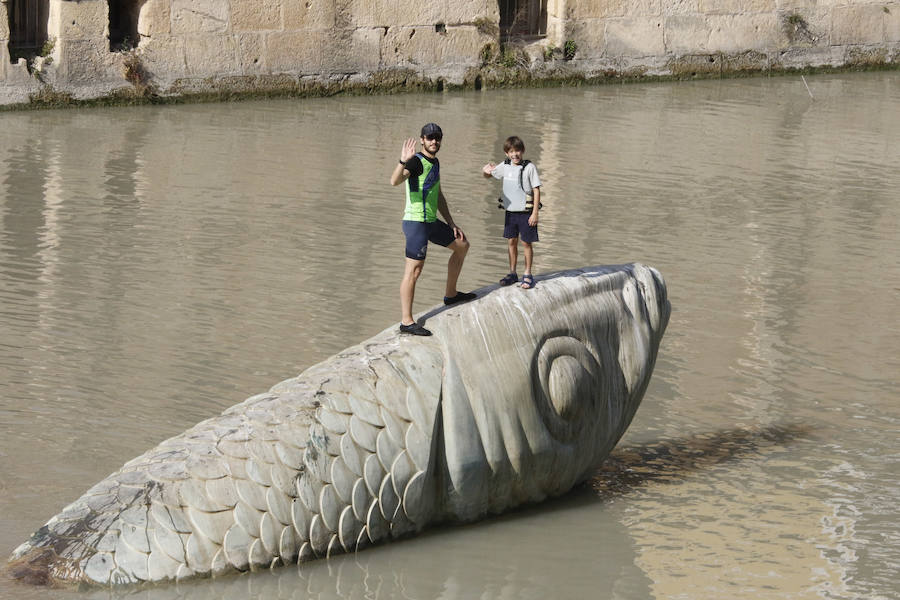 Diversión por tierra, agua y aire en el Día de la Región