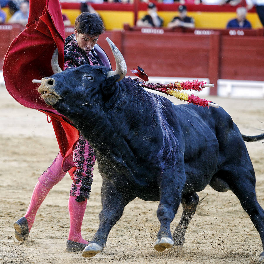 Toros de Hnos. García Jiménez y Olga Jiménez para Francisco Rivera &#039;Paquirri&#039;, David Fandila &#039;El Fandi&#039; y Cayetano en la Feria de Hogueras