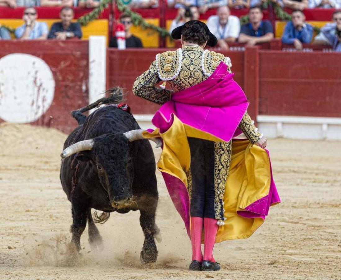 José Tomás deslumbra a Alicante