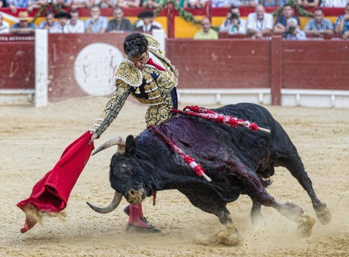 José Tomás deslumbra a Alicante