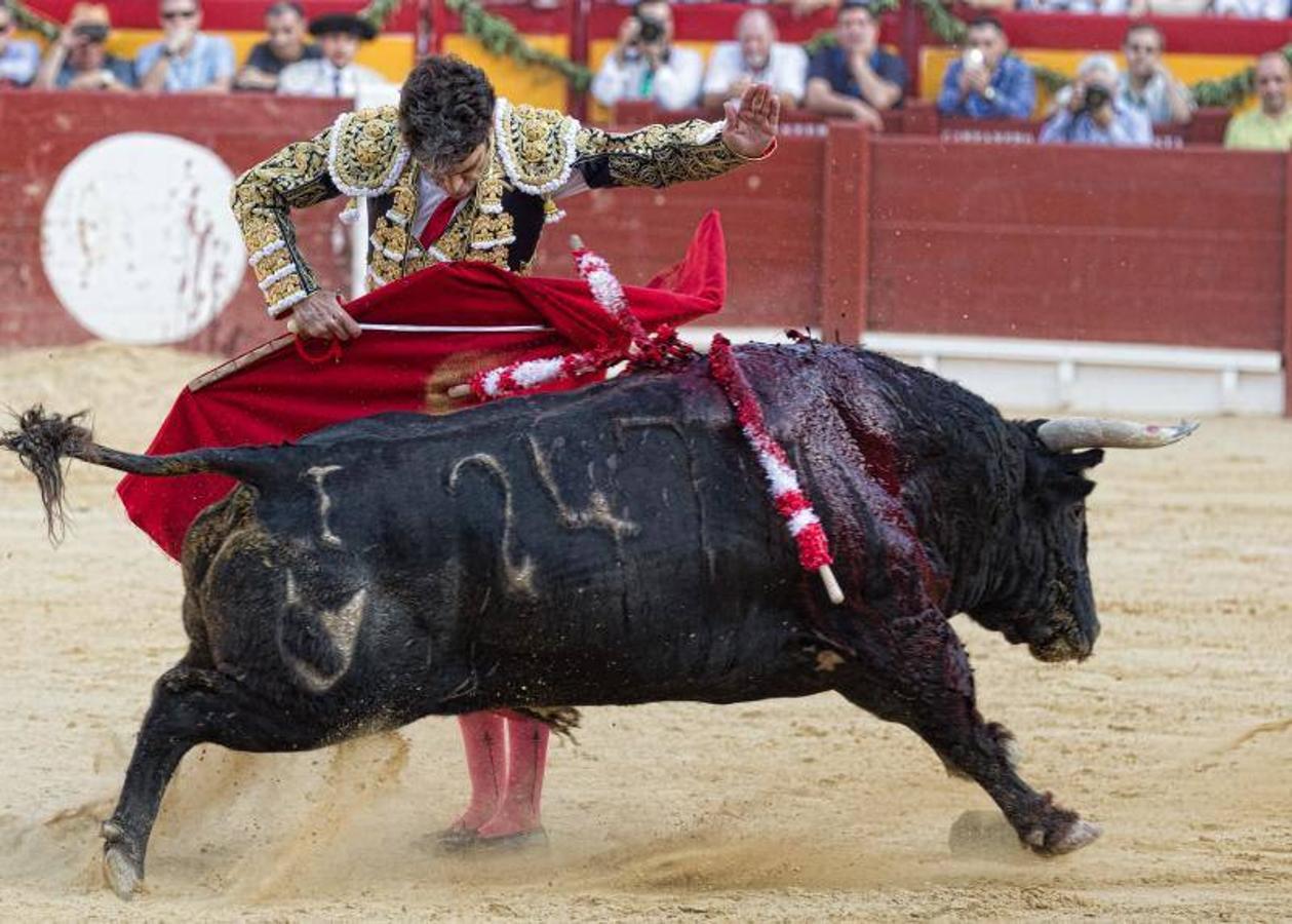 José Tomás deslumbra a Alicante