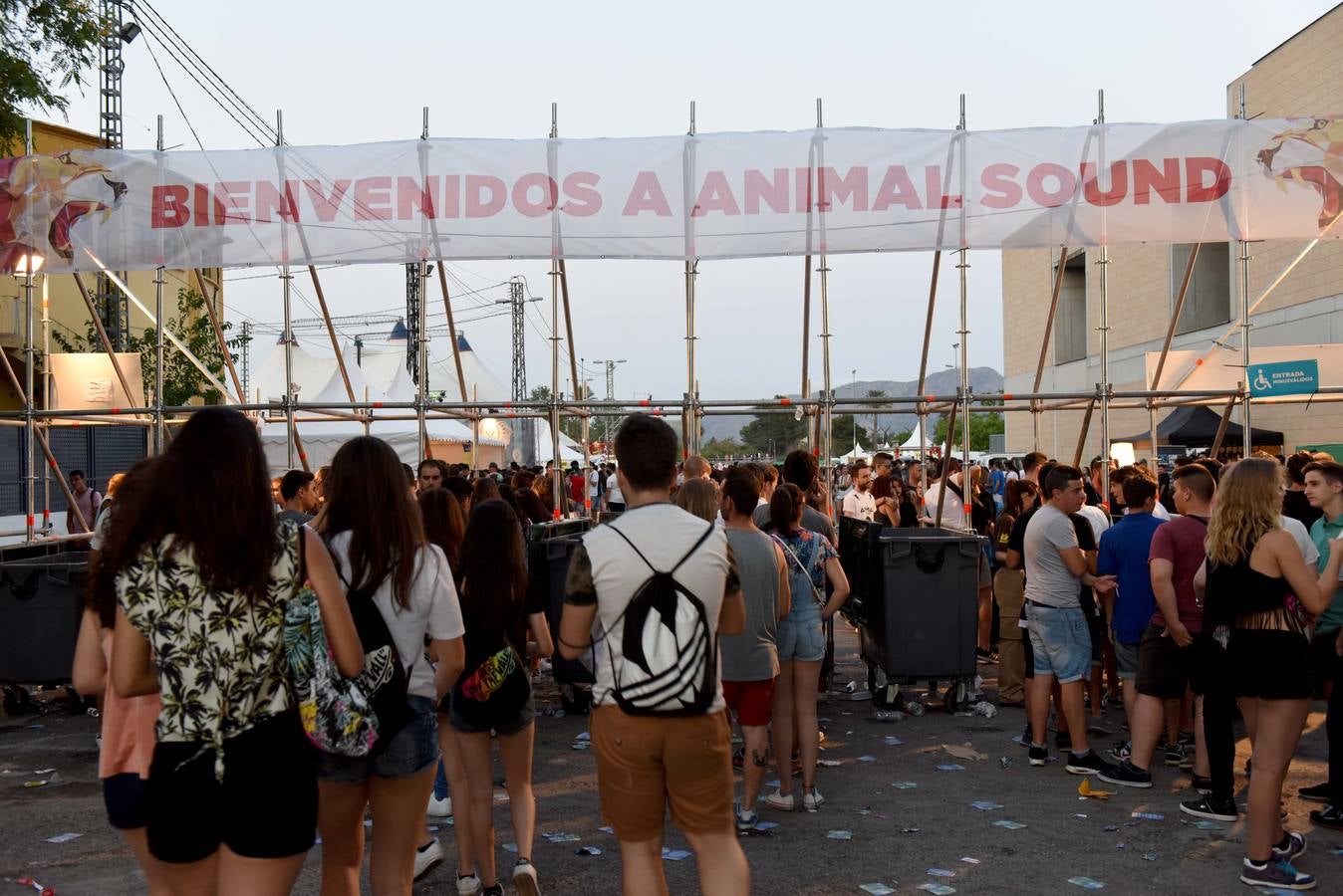 Animal Sound dispara las pulsaciones