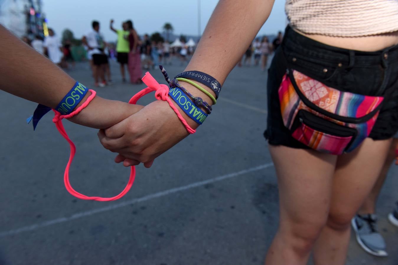 Animal Sound dispara las pulsaciones