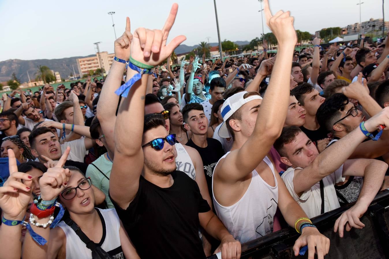 Animal Sound dispara las pulsaciones