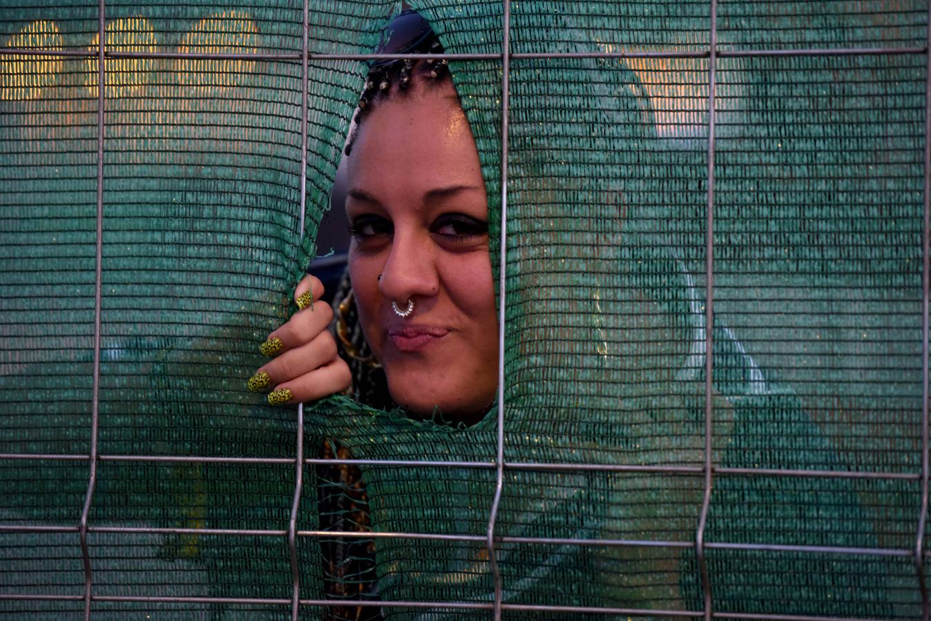 Animal Sound dispara las pulsaciones