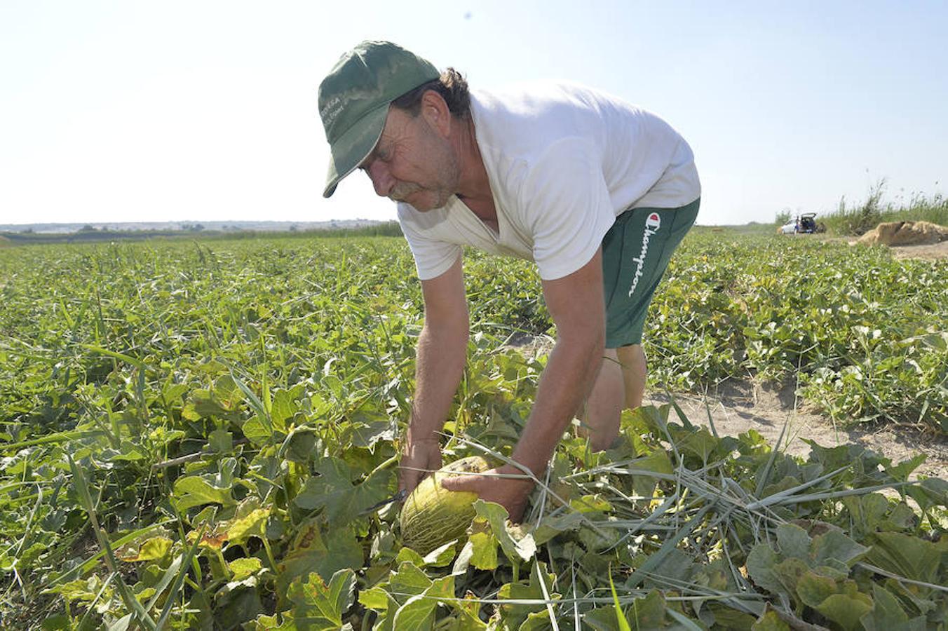 Respaldo unánime al proyecto del Parque Agrario de Carrizales