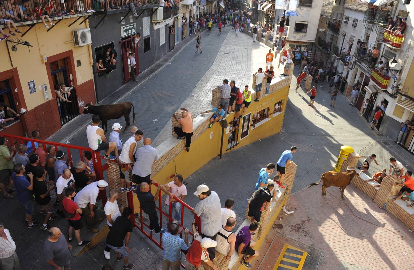 Segundo encierro de las fiestas de Moratalla