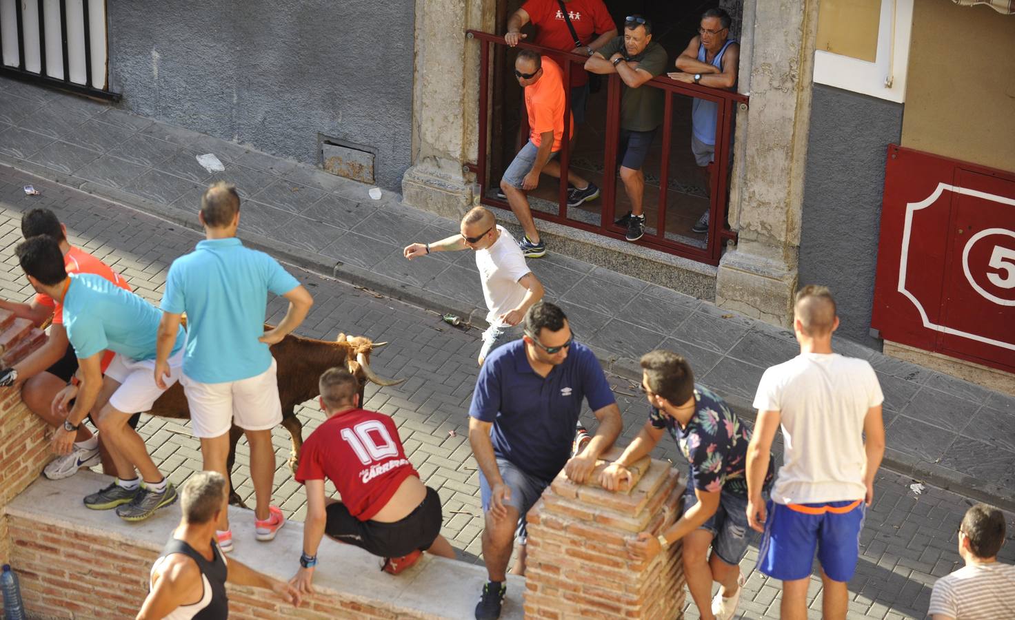 Segundo encierro de las fiestas de Moratalla