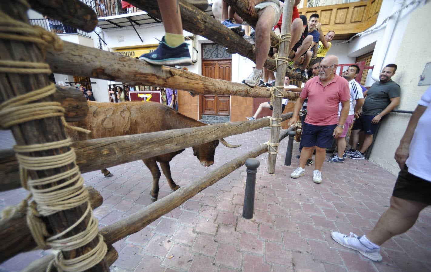 Segundo encierro de las fiestas de Moratalla