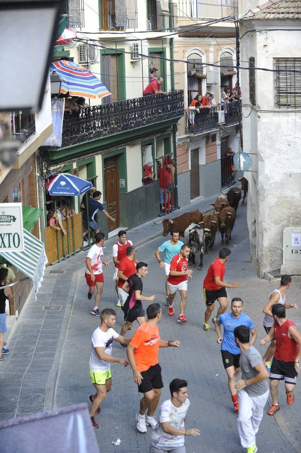 Segundo encierro de las fiestas de Moratalla