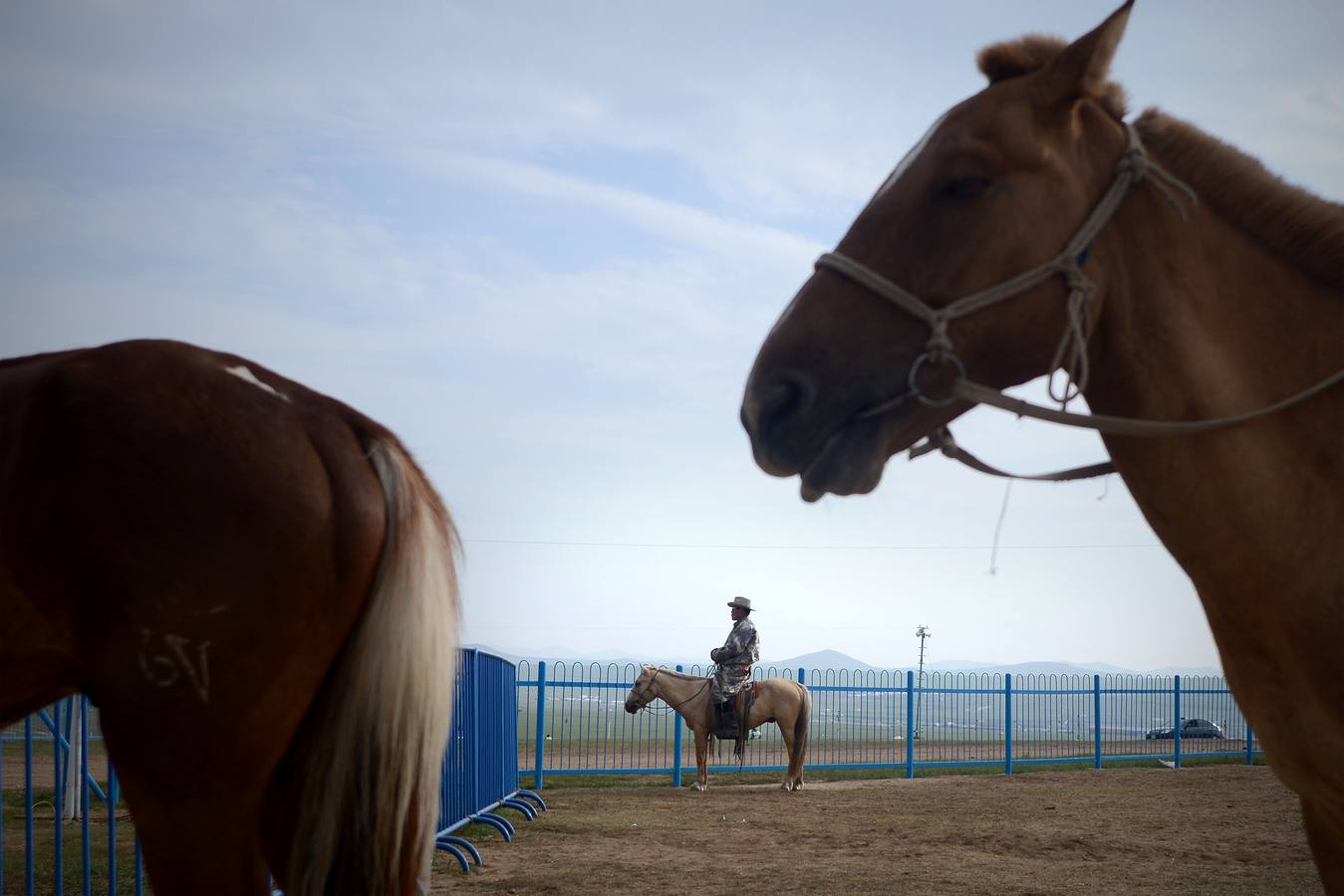 Los mongoles celebran su festival