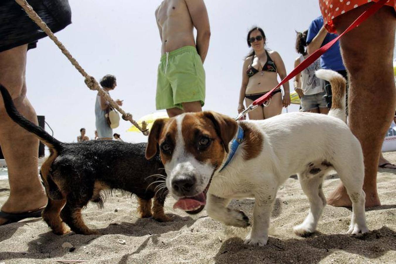 Una playa de cine