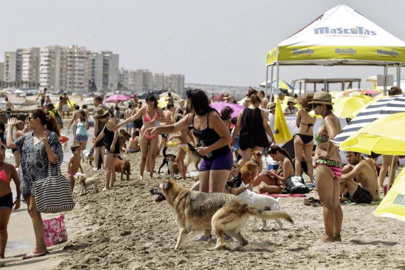 Una playa de cine