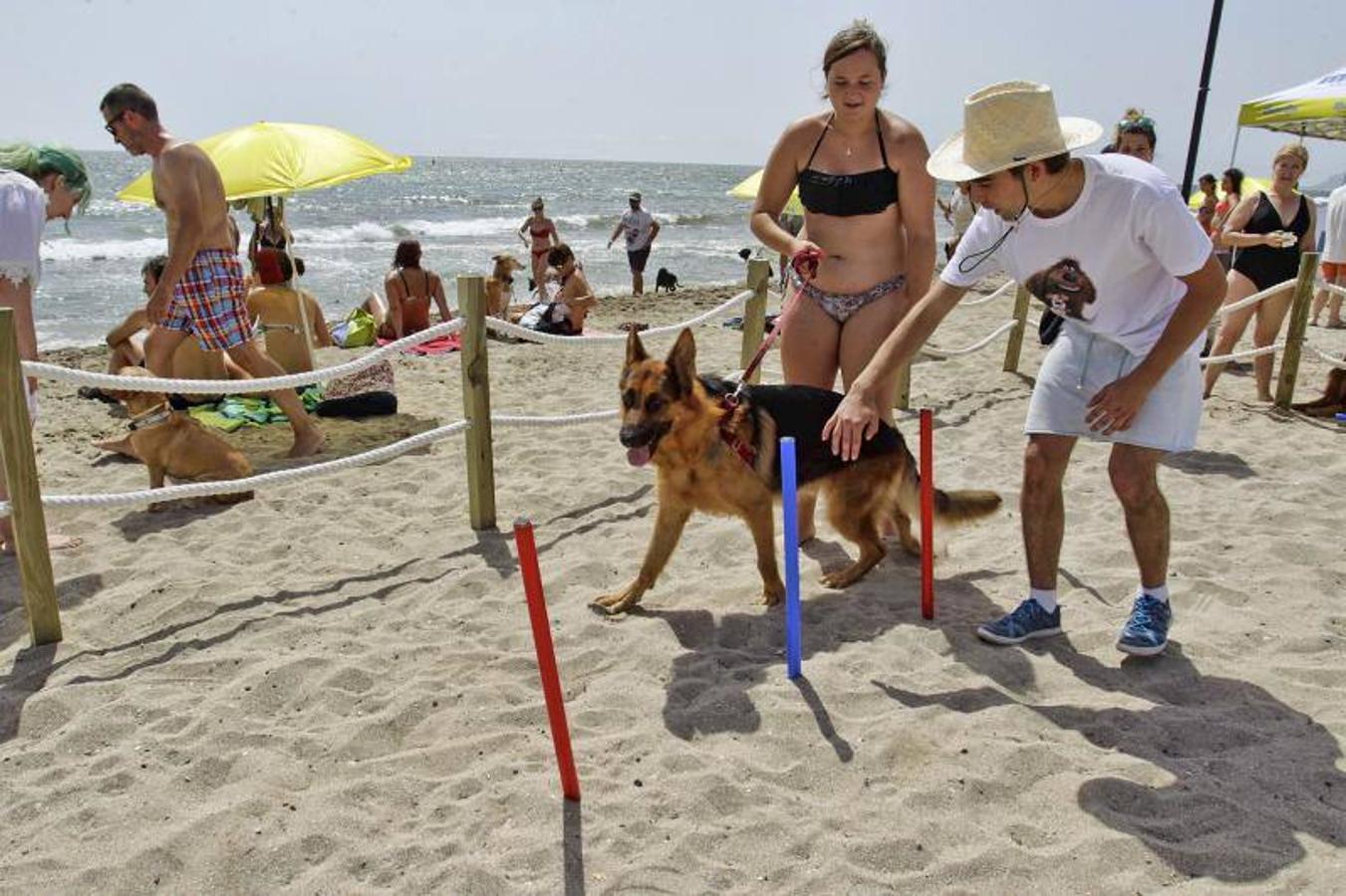 Una playa de cine