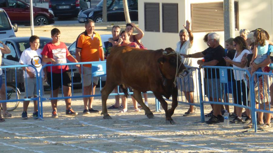 Una caca de vaca que vale 2.000 euros en Dolores