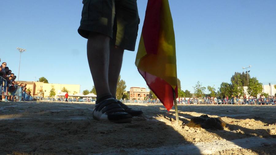 Una caca de vaca que vale 2.000 euros en Dolores