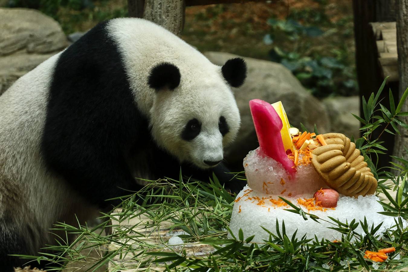 Un cumpleaños adorable