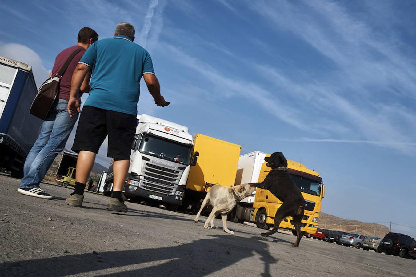 Denuncian el robo de camiones por bandas organizadas en la Vega Baja