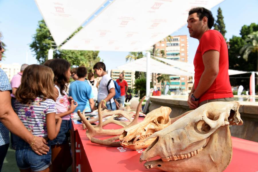 Los animales se apuntan a la Feria