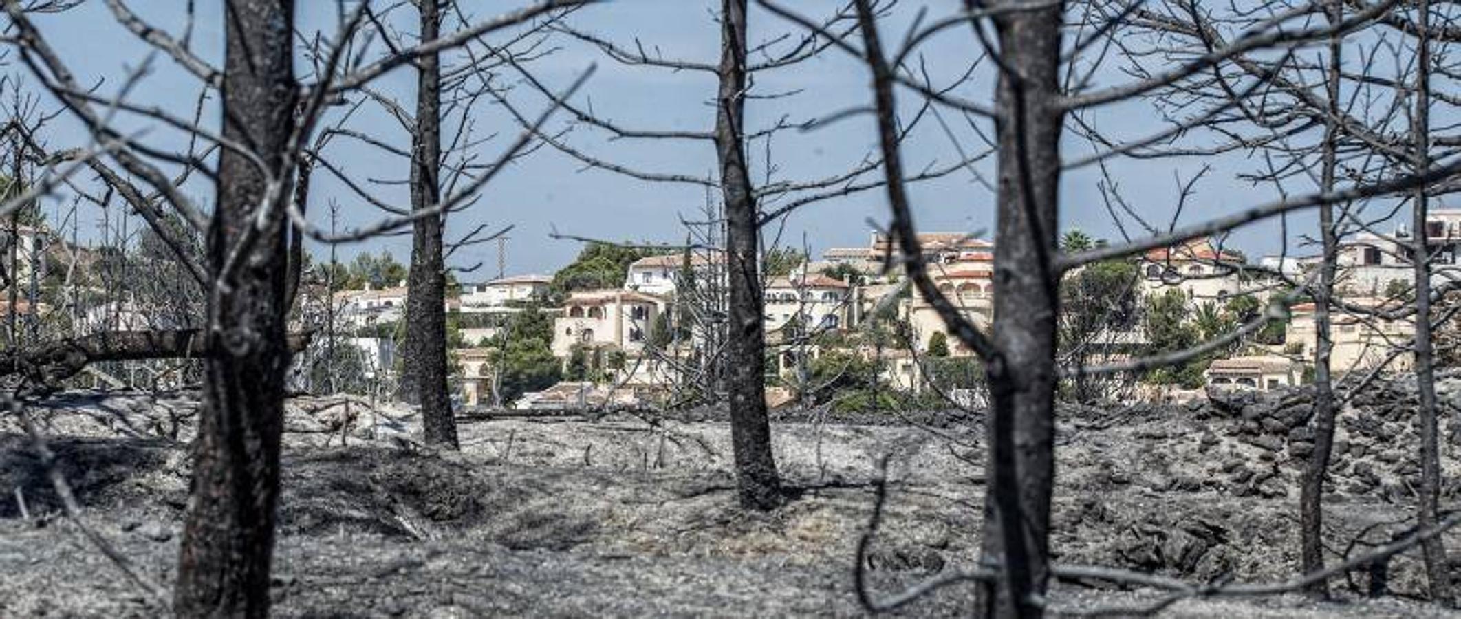 Xàbia y Benitatxell, calcinadas tras el incendio