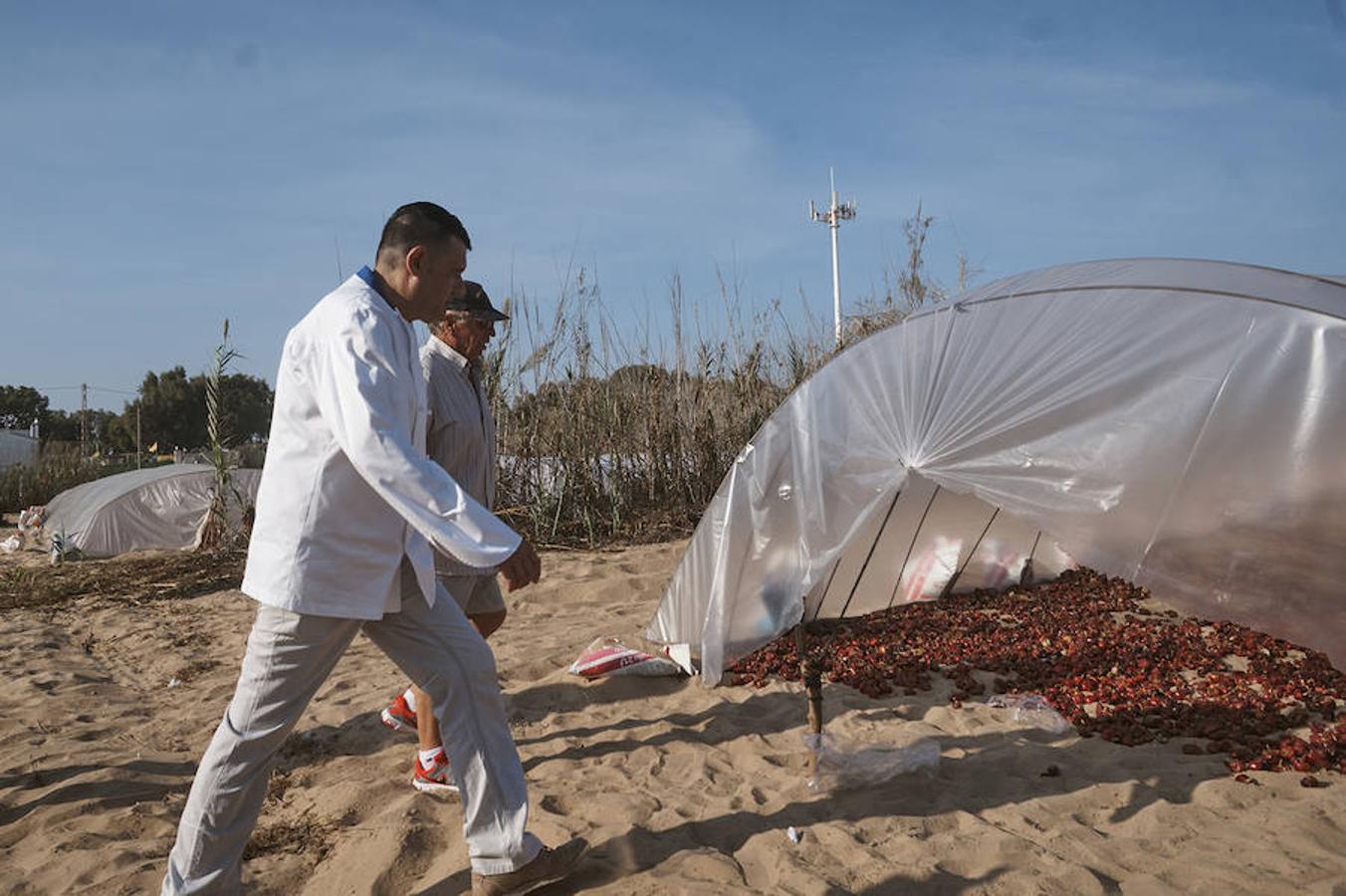 Cocineros de la provincia impulsan la denominación de origen de la ñora