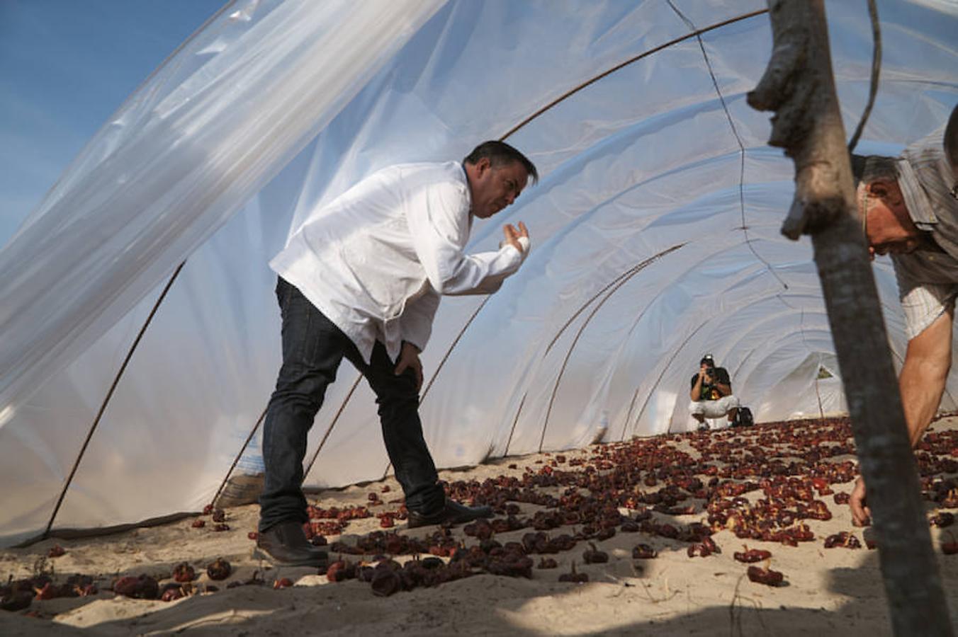 Cocineros de la provincia impulsan la denominación de origen de la ñora